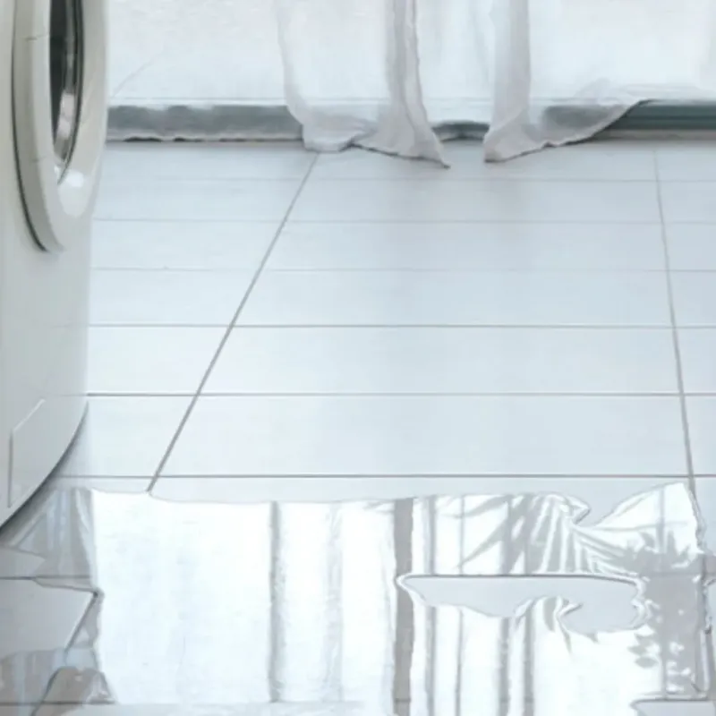 Appliance Leak Cleanup in Nuevo, CA