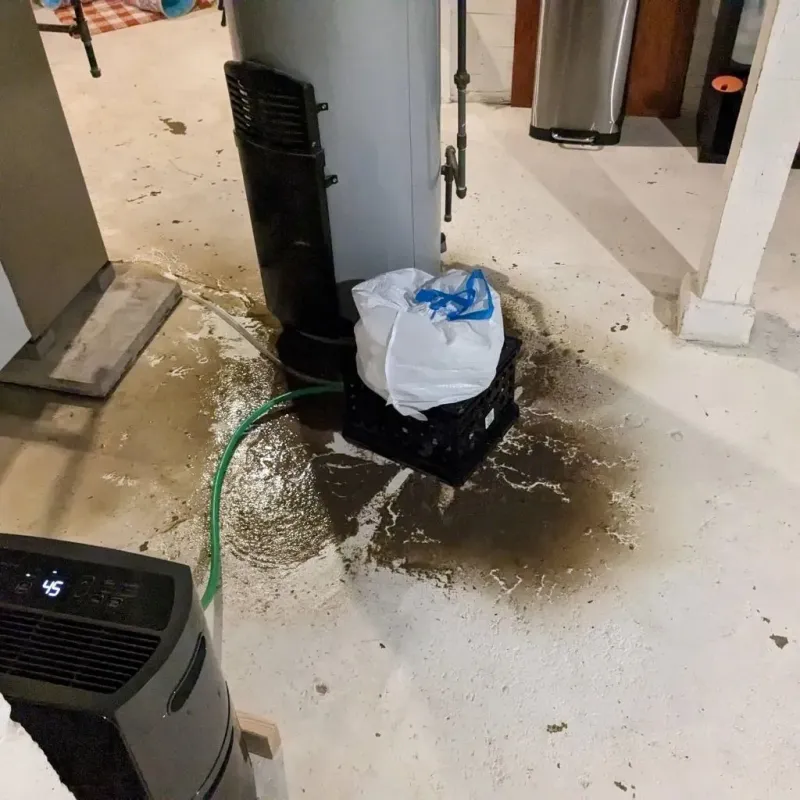 Sewage Backup Cleanup Service in Nuevo, CA